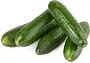 Cucumber "Kotayk Cherry"