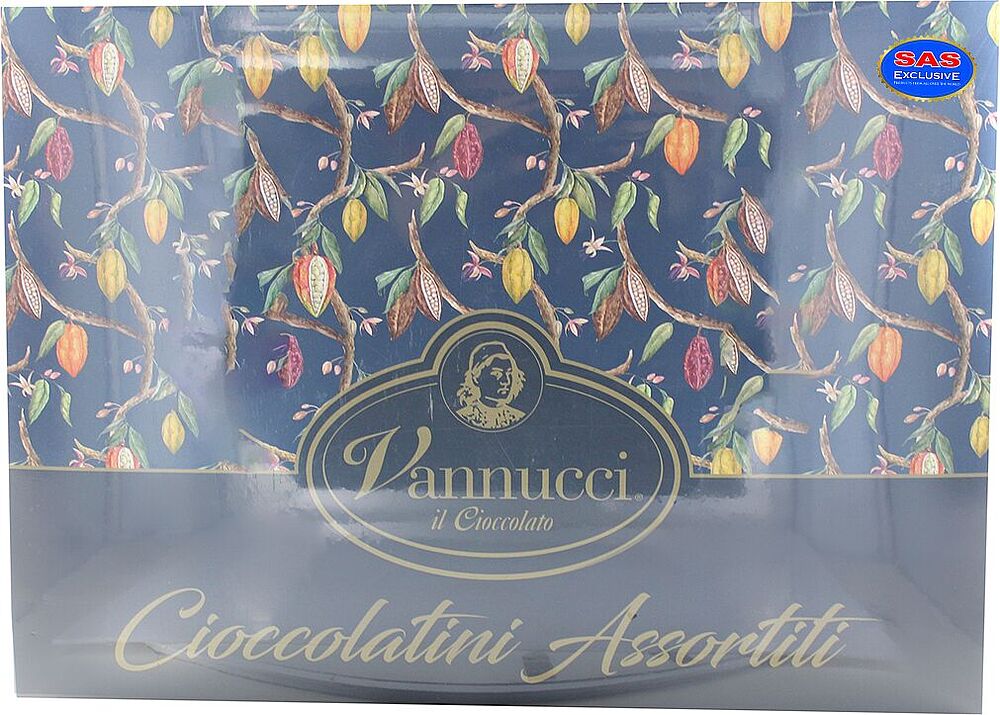 Chocolate candies collection "Vannucci il Cioccolato Assortiti" 350g
