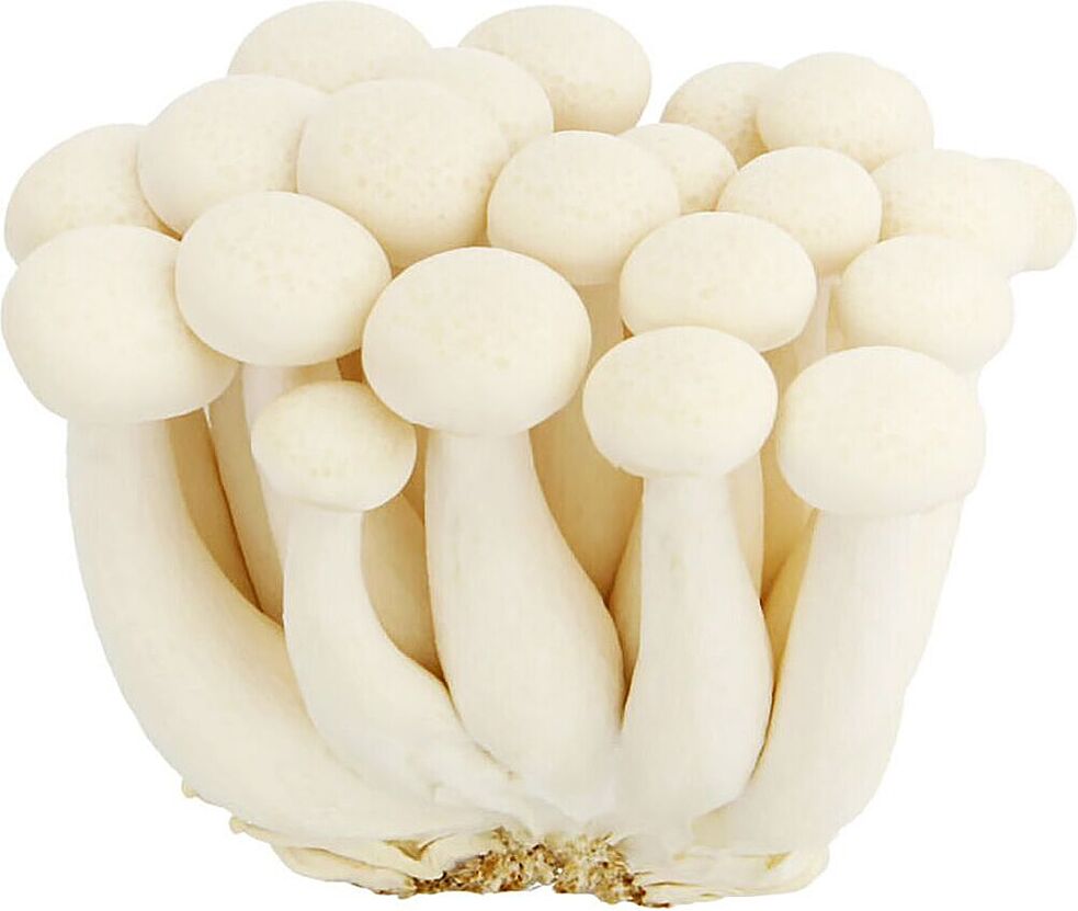 White Shimeji mushroom