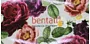 Napkins "Bentati" 150 pcs.