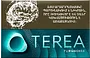 Տաքացվող ծխախոտի գլանակներ «TEREA TURQUOISE»
