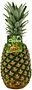 Pineapple Gold