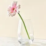 Glass "Krosno" 6 pcs