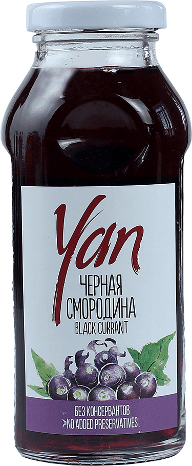 Juice "Yan" 250ml Blackcurrant 