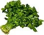 Coriander