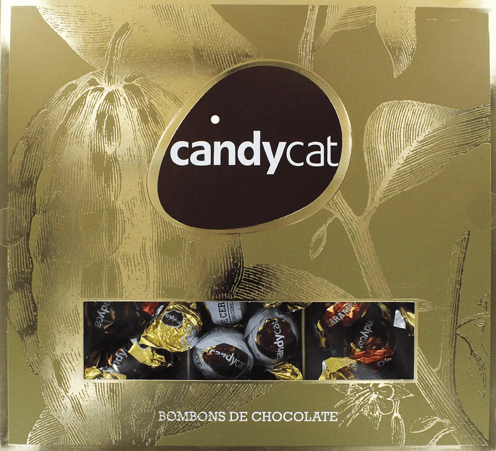Chocolate candies collection "Candycat" 219g