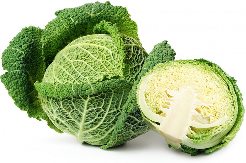 Cabbage, savoy