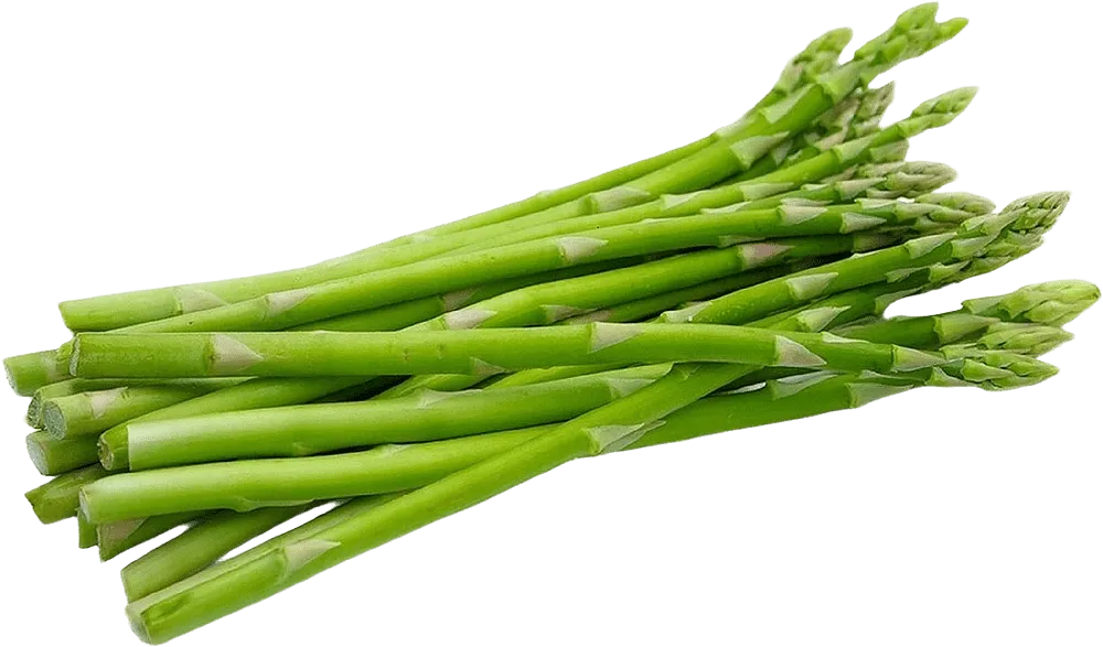 Ծնեբեկ