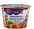 Yogurt with apricot "Emmi Swiss Premium" 100g, richness:1.5%