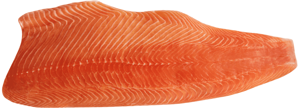 Fresh frozen salmon fillet

