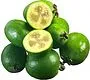 Feijoa 