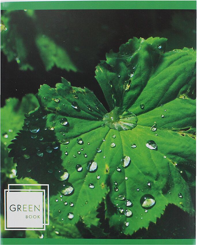 Тетрадь в линию "Green Book" 48 листов