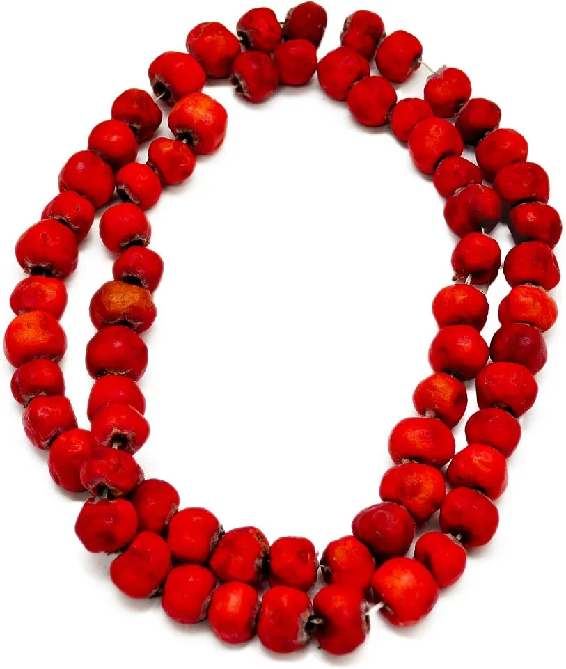 Ալոճ