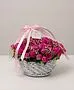 Exclusive composition SAS Flowers by Villani"