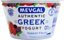 Greek yogurt with forest fruits "Mevgal" 150g, fat content: 0%