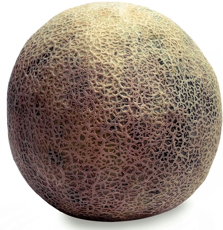 Сantalupensis melon