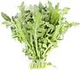 Rucola 125g