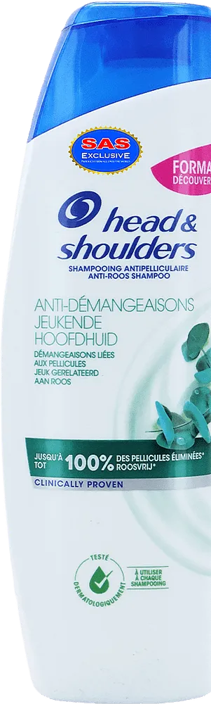 Շամպուն «Head & Shoulders Anti-Demangeaisons» 250մլ
