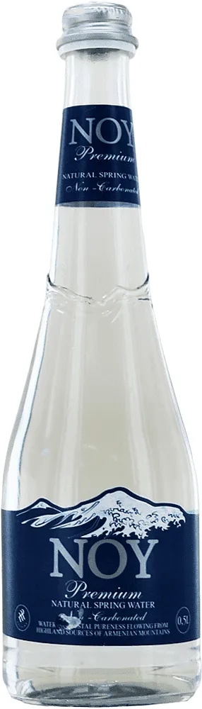 Spring water "Noy" 0.5l
