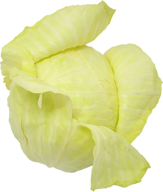 Cabbage