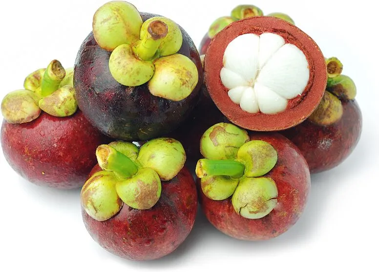 Mangosteen 	