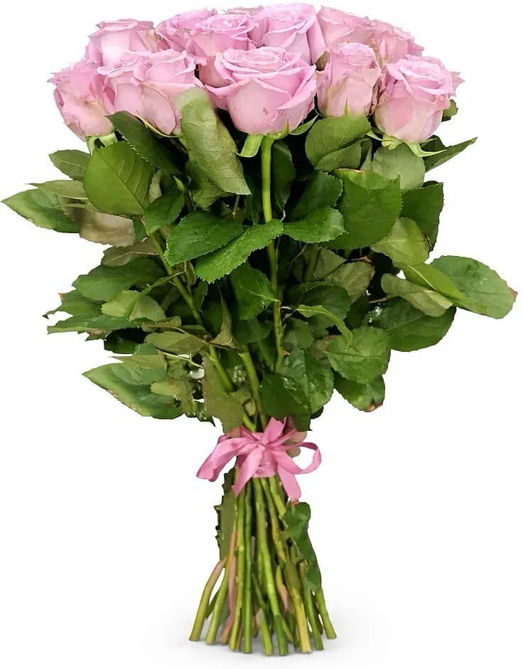Bouquet «Mona Flowers» 15 pcs