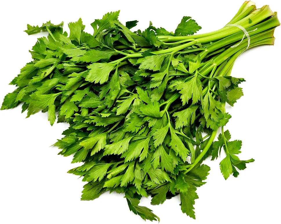 Celery 