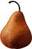 Conference pear 