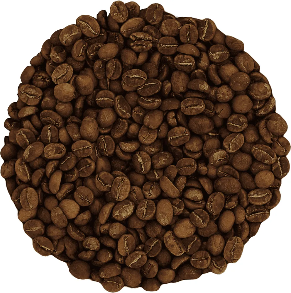 Coffee "Latino Extra Large Ecuador"
