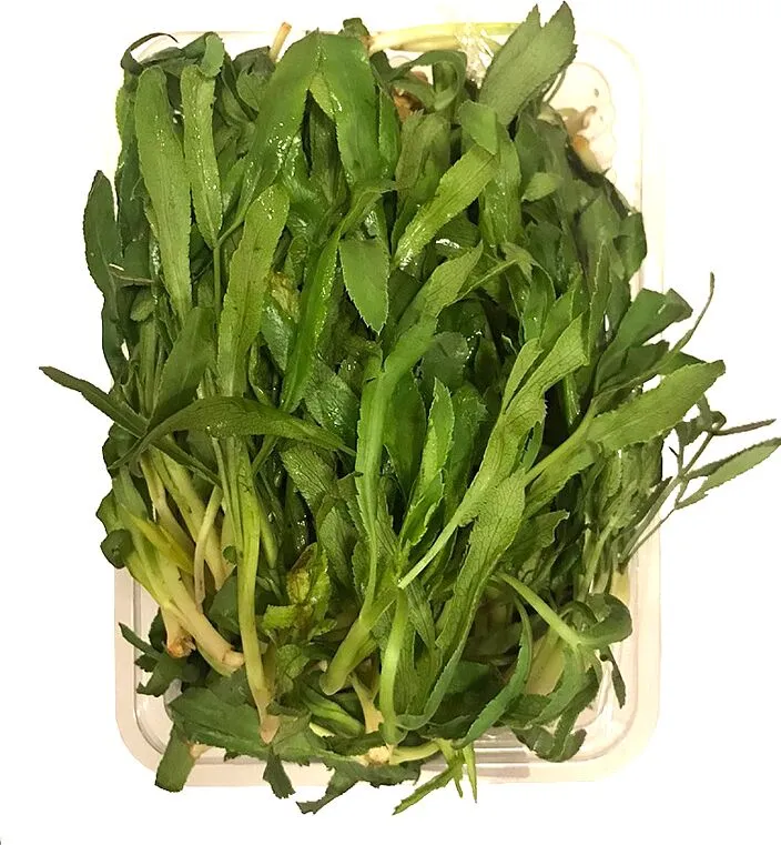 Սիբեխ 