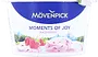 Raspberry yoghurt "Movenpick Moments Of Joy" 100g, fat content: 5%