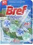 Detergent for toilet "Bref Power" 50g