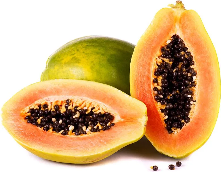 Papaya 