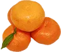 Մանդարին վրացական, մեծ  