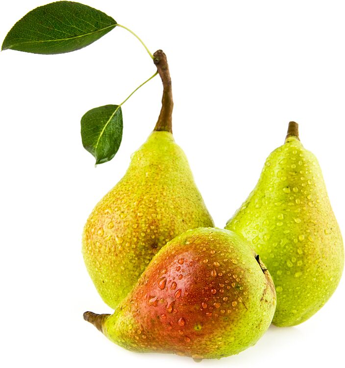 Pear, eastern