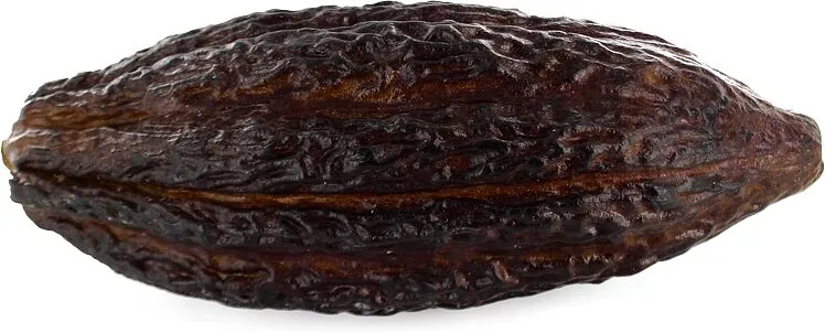 Կակաոյի հատիկներ