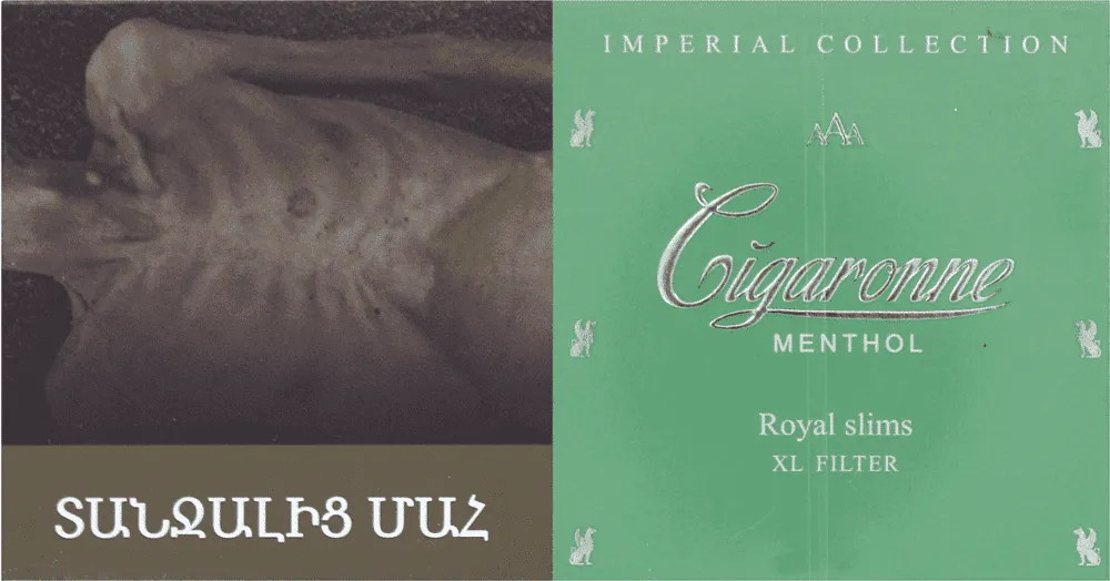 Cigarettes "Cigaronne Royal Slims Mentol"
