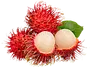 Rambutan