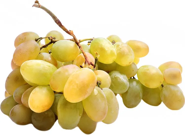 Խաղող «Իծապտուկ» 