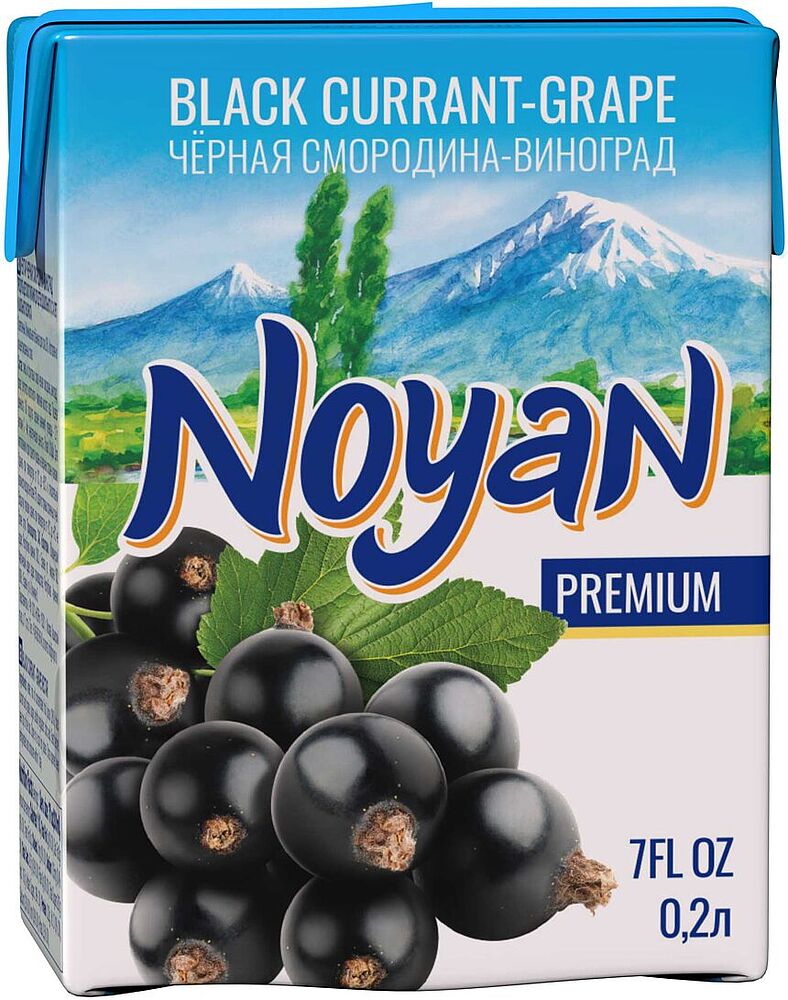 Сок "Noyan Premium" 0.2л Черная смородина