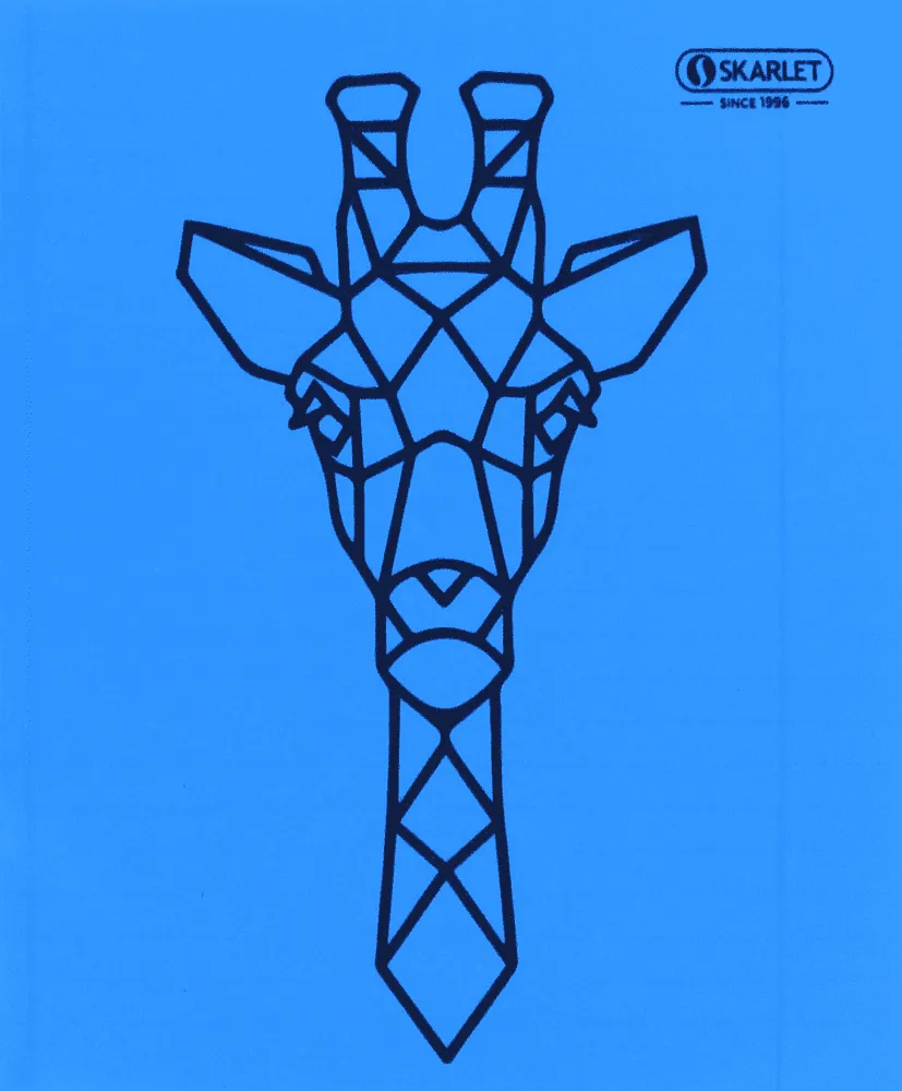 Copybook in a line "Skarlet" 48 sheets
