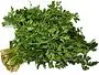 Parsley