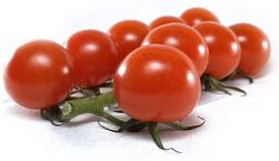 Tomato "Cherry" 