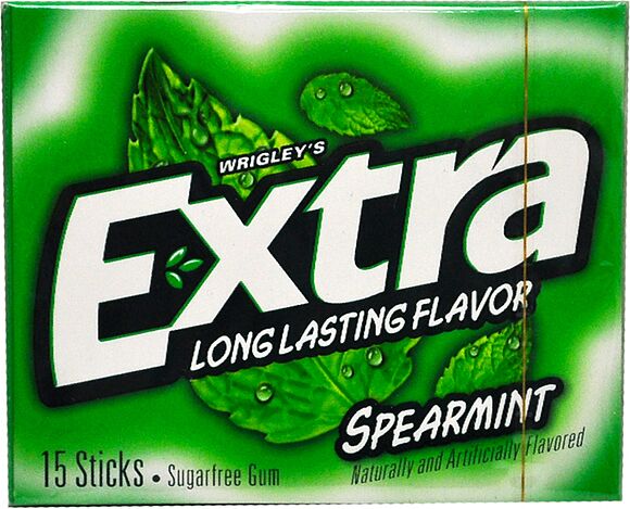 Chewing gum "Extra" 40g Spearmint