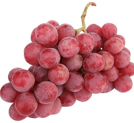 Виноград Чили