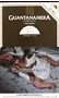Cigar "Guantanamera Habana Cuba" 5 pcs