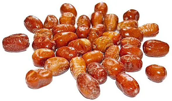 Дикая маслина