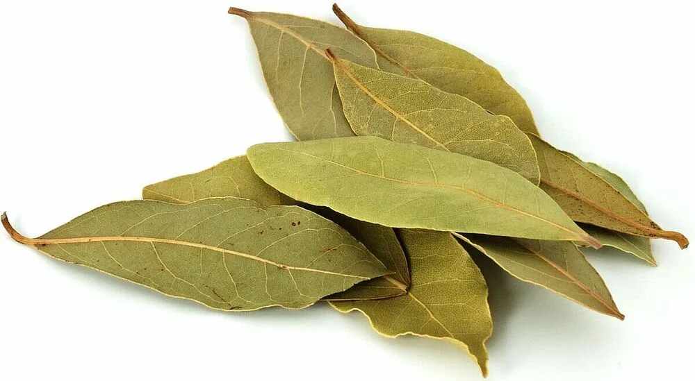 Laurel leaves 