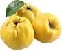 Quince of Megri