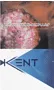 Cigarettes "Kent Spark Navy Blue"